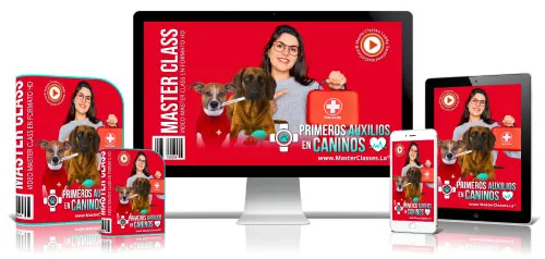 PRIMEROS AUXILIOS EN CANINOS